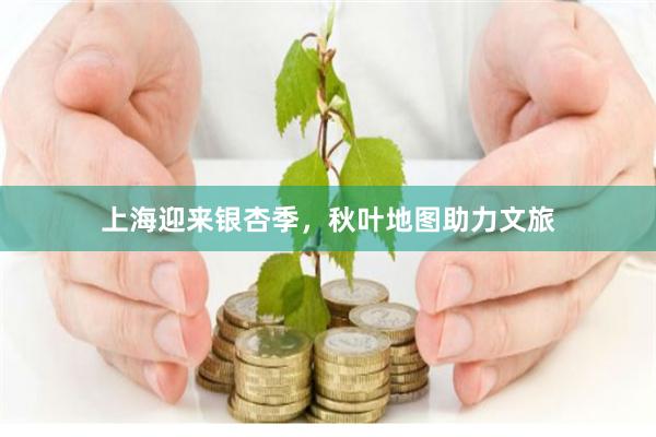 上海迎来银杏季，秋叶地图助力文旅